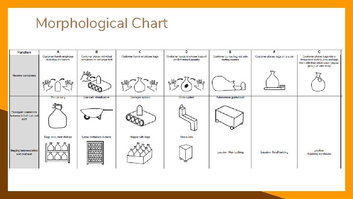 Morphological Chart 