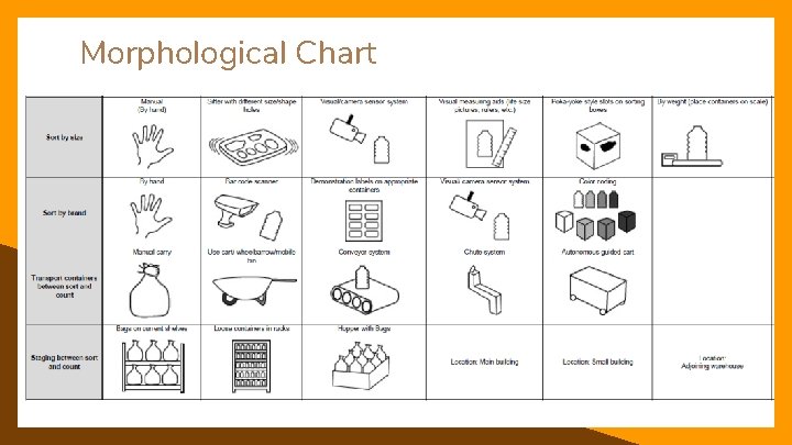 Morphological Chart 