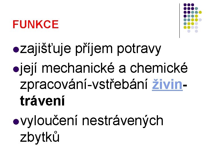 FUNKCE l zajišťuje příjem potravy l její mechanické a chemické zpracování-vstřebání živintrávení l vyloučení