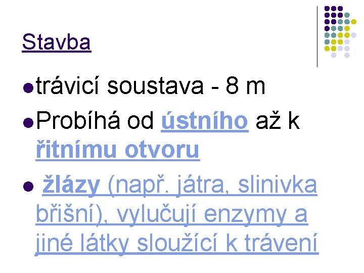 Stavba l trávicí soustava - 8 m l Probíhá od ústního až k řitnímu