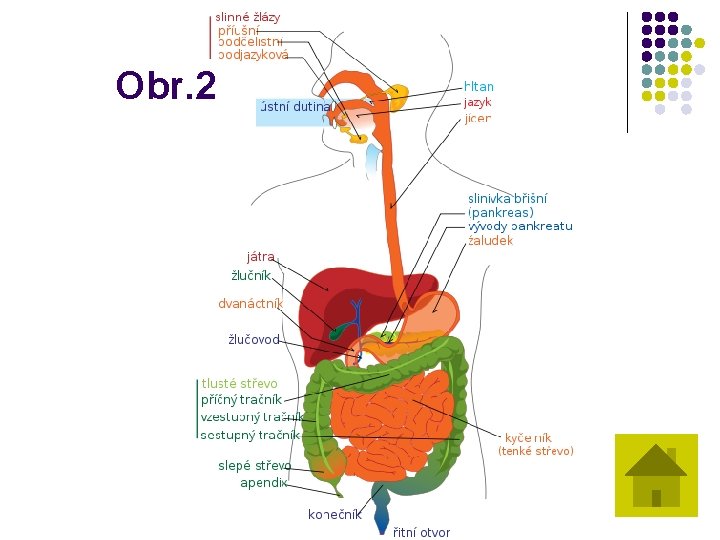 Obr. 2 