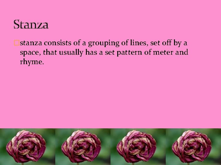 Stanza �stanza consists of a grouping of lines, set off by a space, that