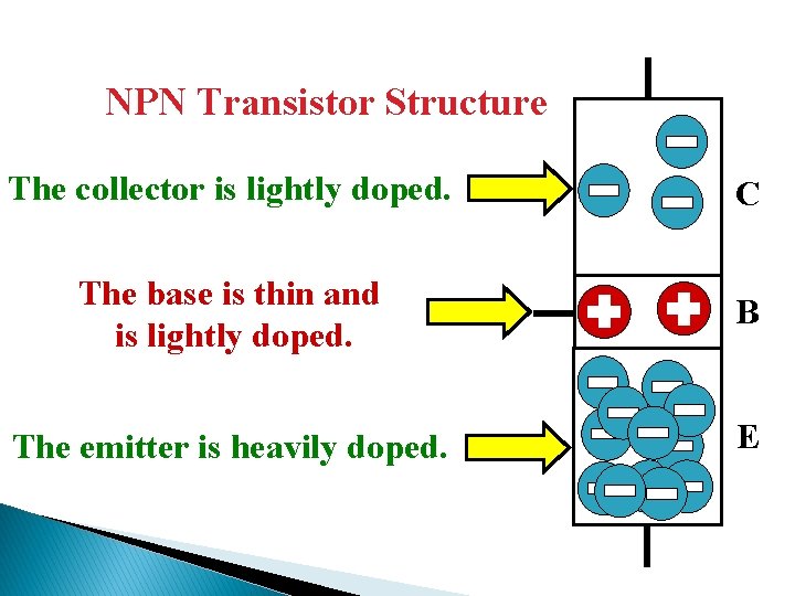 NPN Transistor Structure The collector is lightly doped. N C The base is thin