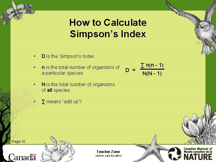 How to Calculate Simpson’s Index • D is the Simpson’s Index • n is