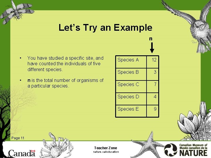 Let’s Try an Example n • • You have studied a specific site, and