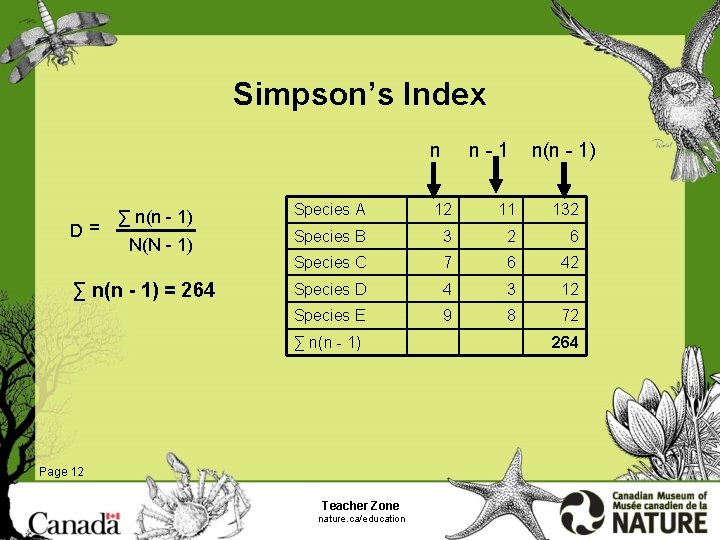Simpson’s Index n D= n-1 n(n - 1) ∑ n(n - 1) Species A