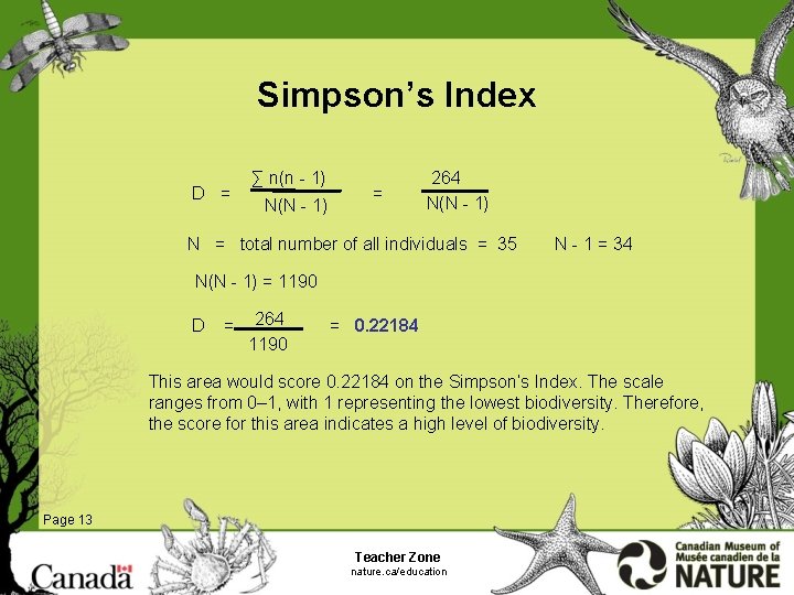Simpson’s Index D = ∑ n(n - 1) N(N - 1) = 264 N(N