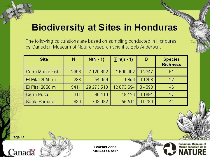 Biodiversity at Sites in Honduras The following calculations are based on sampling conducted in