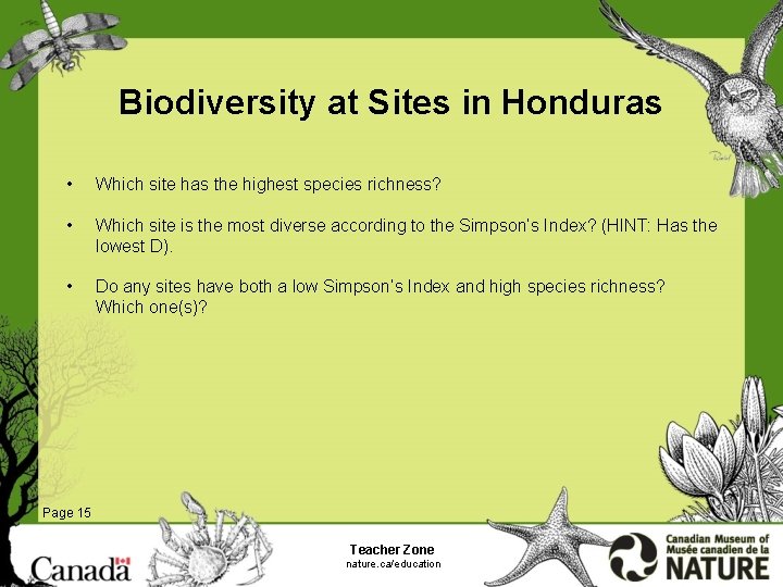 Biodiversity at Sites in Honduras • Which site has the highest species richness? •