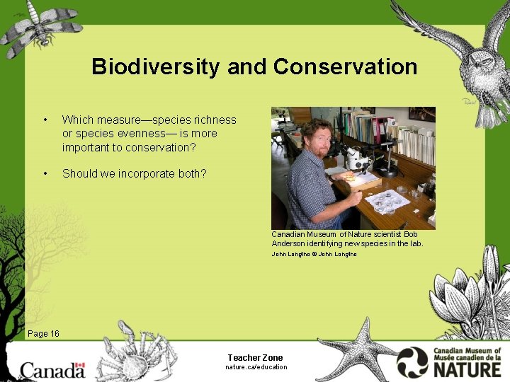 Biodiversity and Conservation • Which measure—species richness or species evenness— is more important to