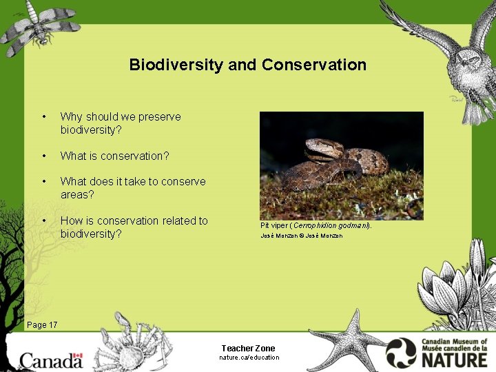 Biodiversity and Conservation • Why should we preserve biodiversity? • What is conservation? •