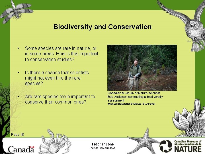 Biodiversity and Conservation • Some species are rare in nature, or in some areas.