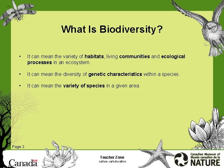 What Is Biodiversity? • It can mean the variety of habitats, living communities and