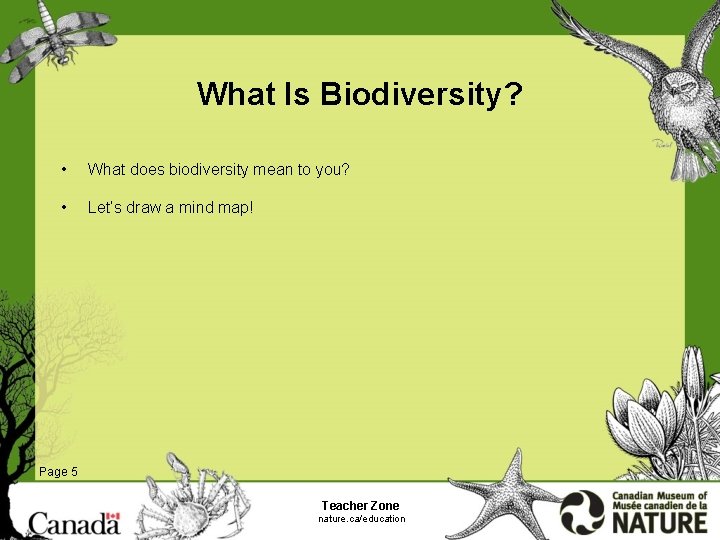 What Is Biodiversity? • What does biodiversity mean to you? • Let’s draw a