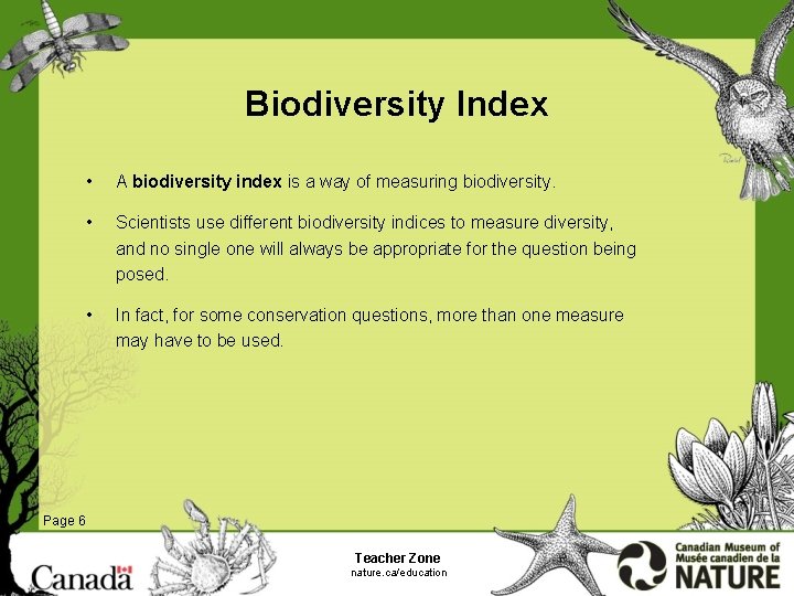 Biodiversity Index • A biodiversity index is a way of measuring biodiversity. • Scientists
