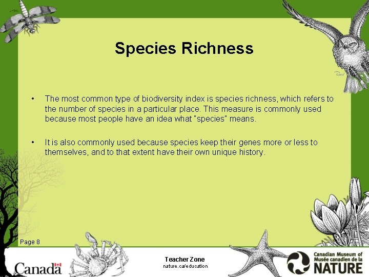 Species Richness • The most common type of biodiversity index is species richness, which