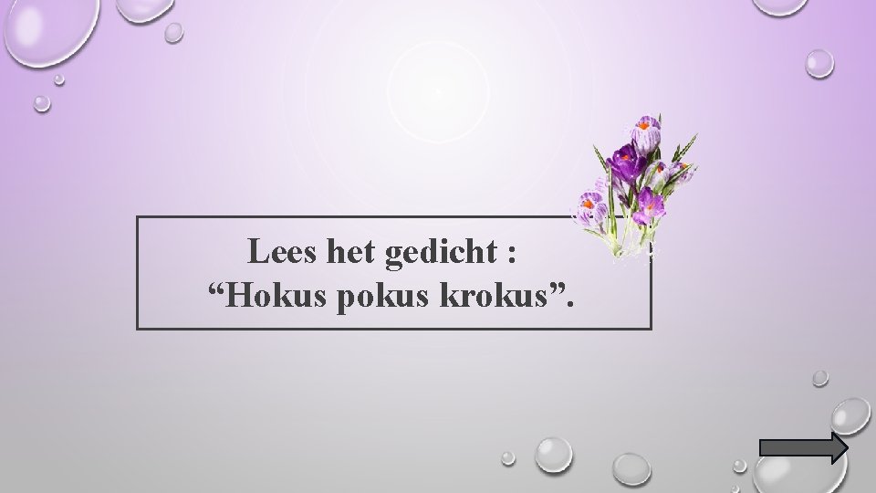 Lees het gedicht : “Hokus pokus krokus”. 
