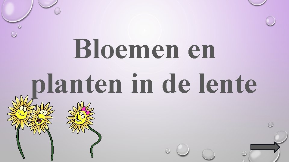 Bloemen en planten in de lente 