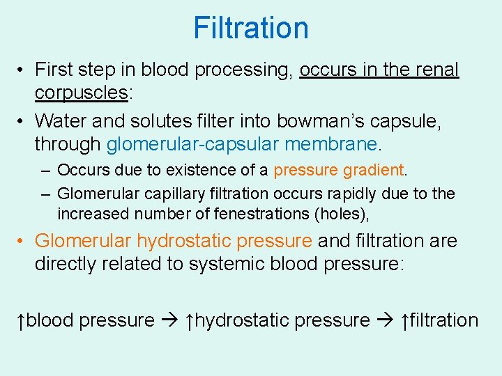 Physiology BIO 240 Lecture No 12 Renal Nephron