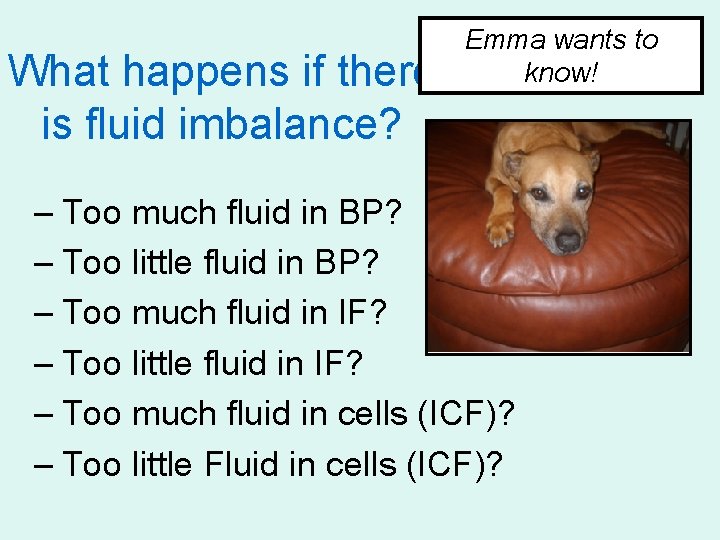 What happens if there is fluid imbalance? Emma wants to know! – Too much