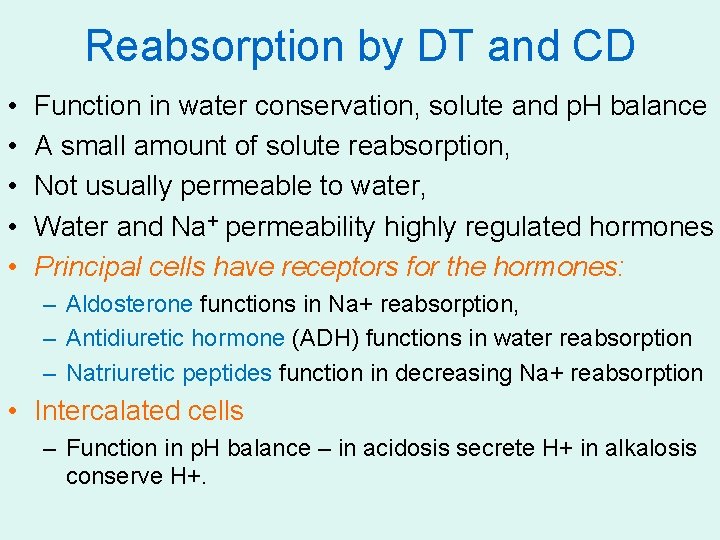 Reabsorption by DT and CD • • • Function in water conservation, solute and