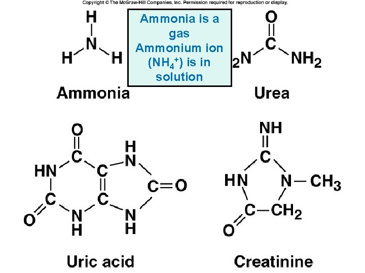 Ammonia Fig. 23. 2 is a gas Ammonium ion (NH 4+) is in solution