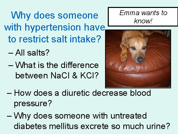Why does someone with hypertension have to restrict salt intake? Emma wants to know!