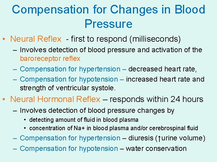 Compensation for Changes in Blood Pressure • Neural Reflex - first to respond (milliseconds)