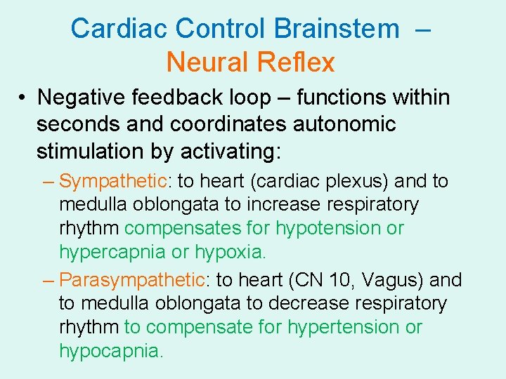 Cardiac Control Brainstem – Neural Reflex • Negative feedback loop – functions within seconds