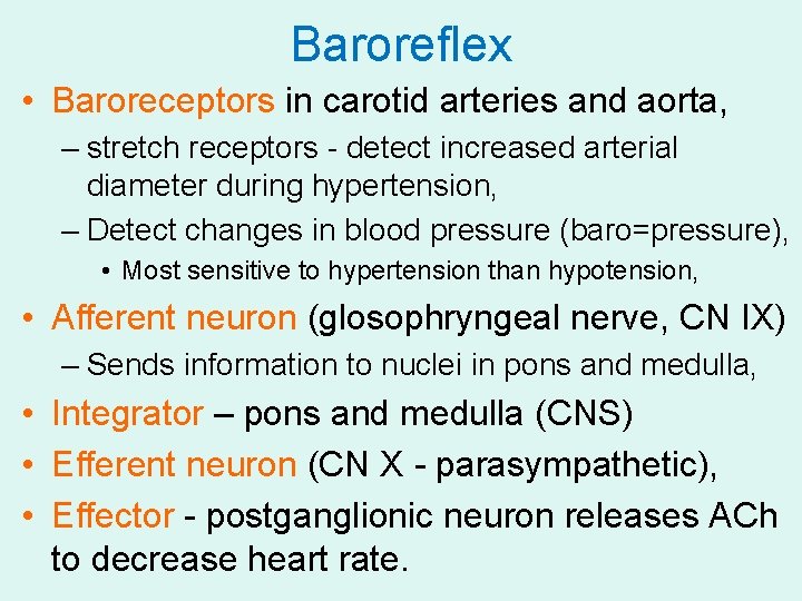 Baroreflex • Baroreceptors in carotid arteries and aorta, – stretch receptors - detect increased