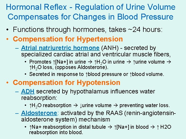 Hormonal Reflex - Regulation of Urine Volume Compensates for Changes in Blood Pressure •