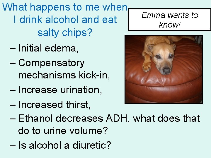 What happens to me when Emma wants to I drink alcohol and eat know!