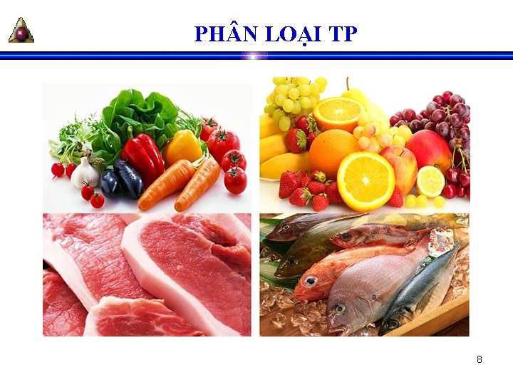 PH N LOẠI TP 8 PH N LOẠI TP 8
