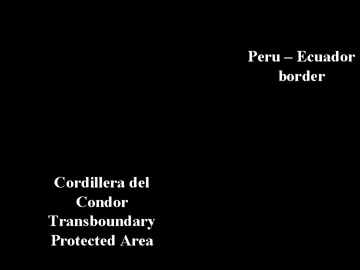 Peru – Ecuador border Cordillera del Condor Transboundary Protected Area 