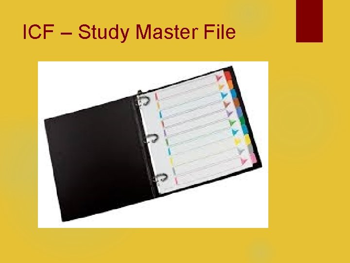 ICF – Study Master File 