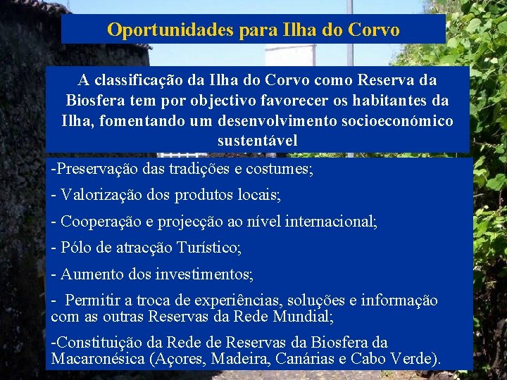 Oportunidades para Ilha do Corvo A classificação da Ilha do Corvo como Reserva da