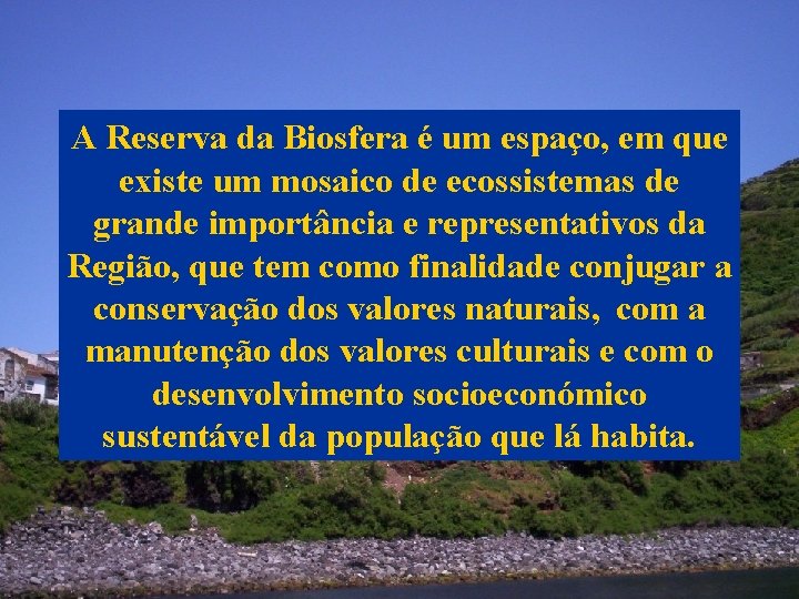 A Reserva da Biosfera é um espaço, em que existe um mosaico de ecossistemas