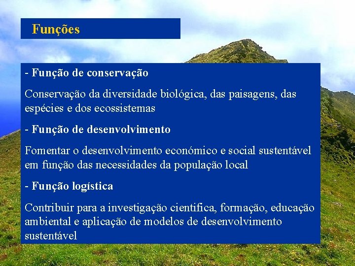 Funções - Função de conservação Conservação da diversidade biológica, das paisagens, das espécies e