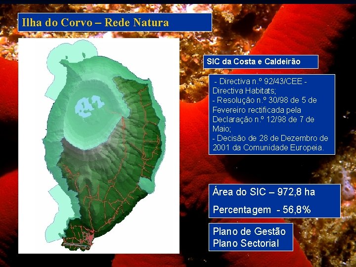 Ilha do Corvo – Rede Natura SIC da Costa e Caldeirão - Directiva n.