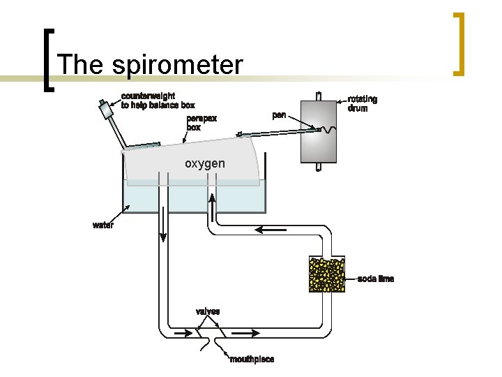 The spirometer oxygen 