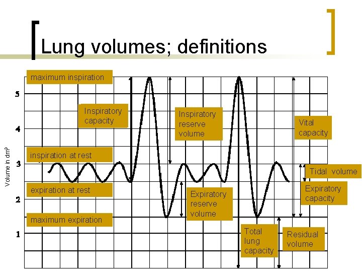 Lung volumes; definitions maximum inspiration Volume in dm 3 Inspiratory capacity Inspiratory reserve volume