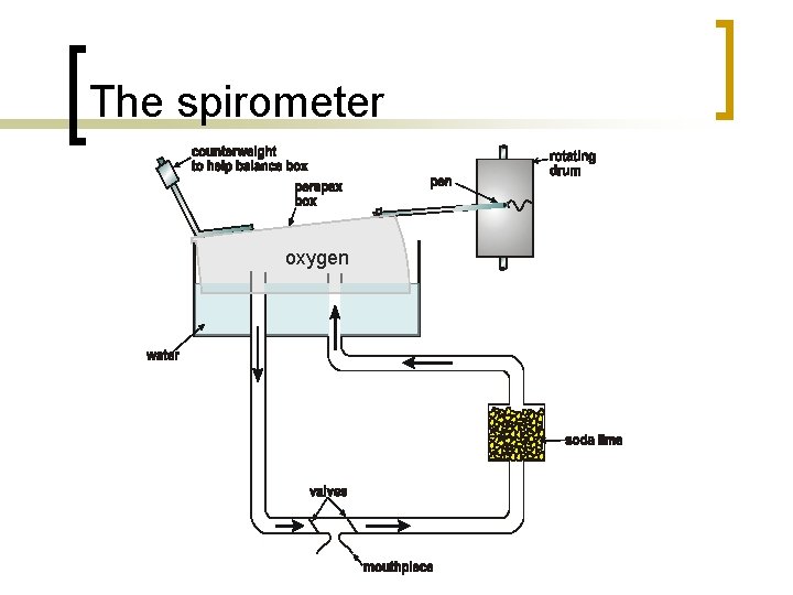 The spirometer oxygen 