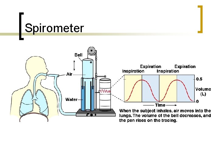 Spirometer 