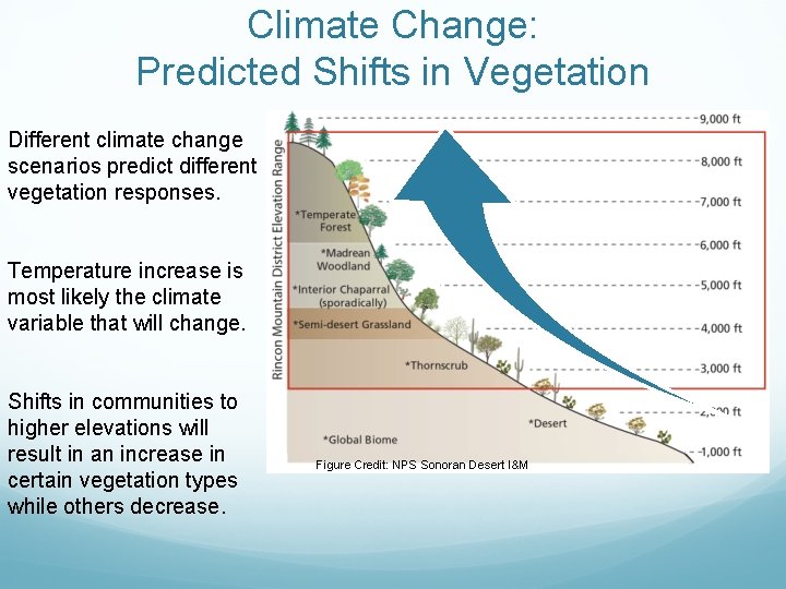 Climate Change: Predicted Shifts in Vegetation Different climate change scenarios predict different vegetation responses.