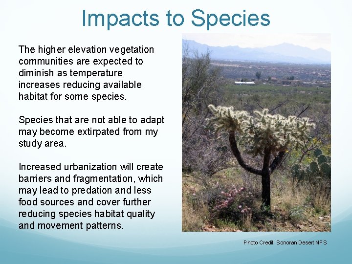 Impacts to Species The higher elevation vegetation communities are expected to diminish as temperature