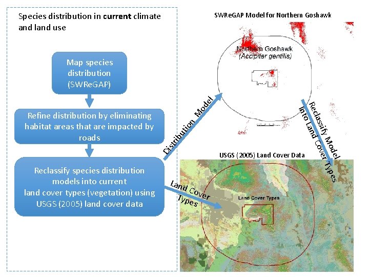 Species distribution in current climate and land use SWRe. GAP Model for Northern Goshawk
