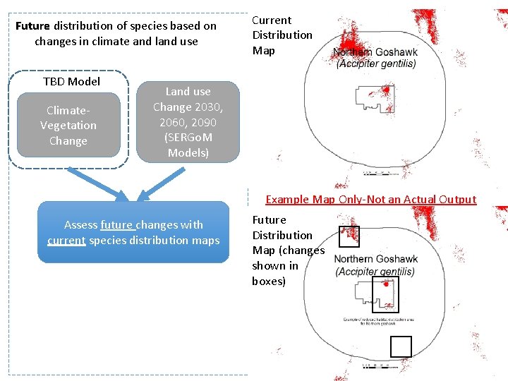 Future distribution of species based on changes in climate and land use TBD Model