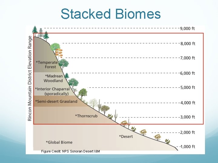 Stacked Biomes Figure Credit: NPS Sonoran Desert I&M 