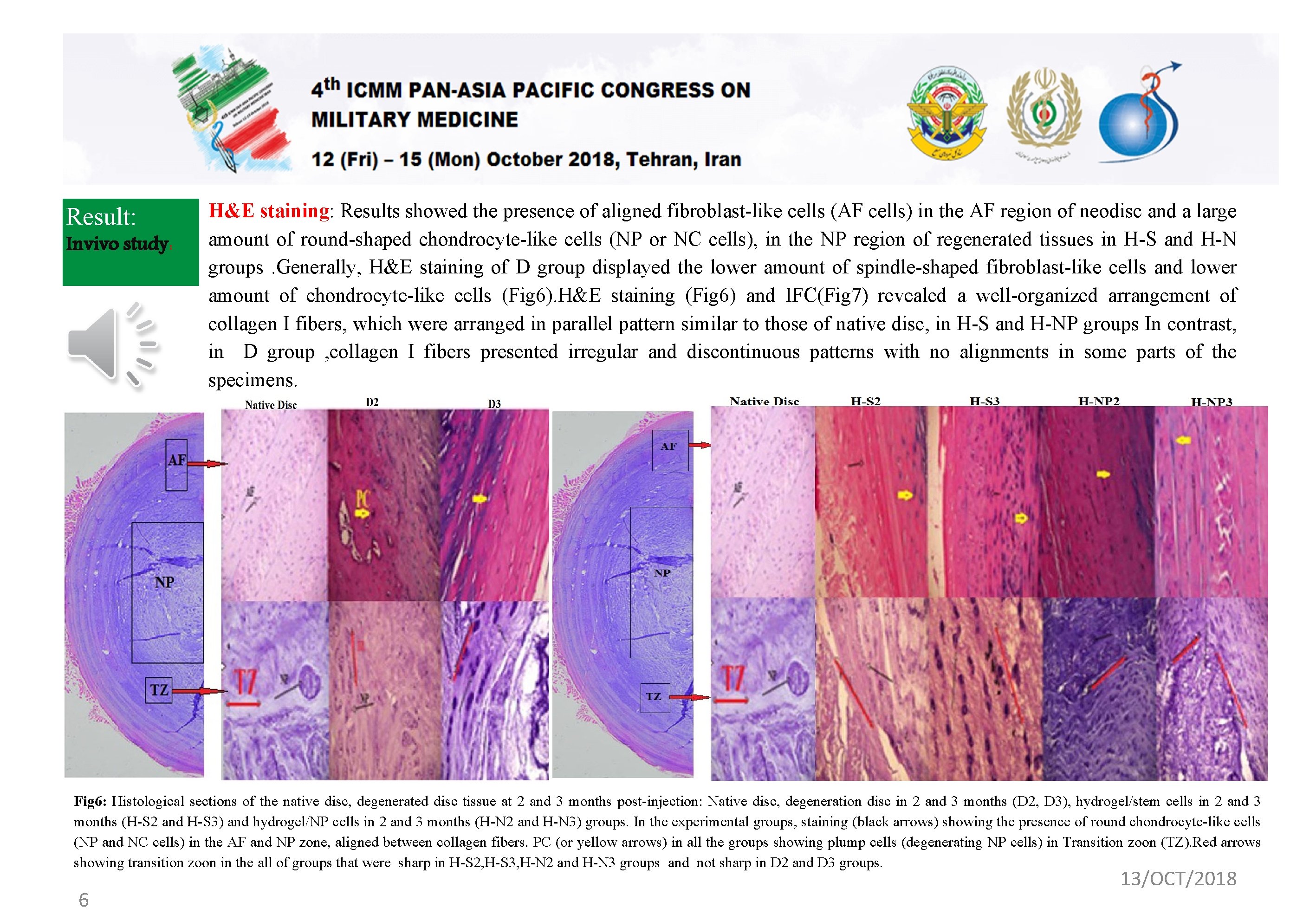 Result: Invivo study: H&E staining: Results showed the presence of aligned fibroblast-like cells (AF