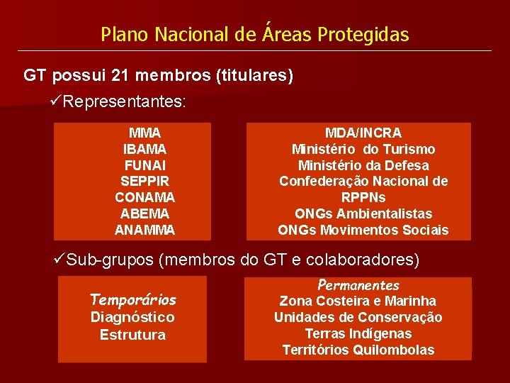 Plano Nacional de Áreas Protegidas GT possui 21 membros (titulares) üRepresentantes: MMA IBAMA FUNAI